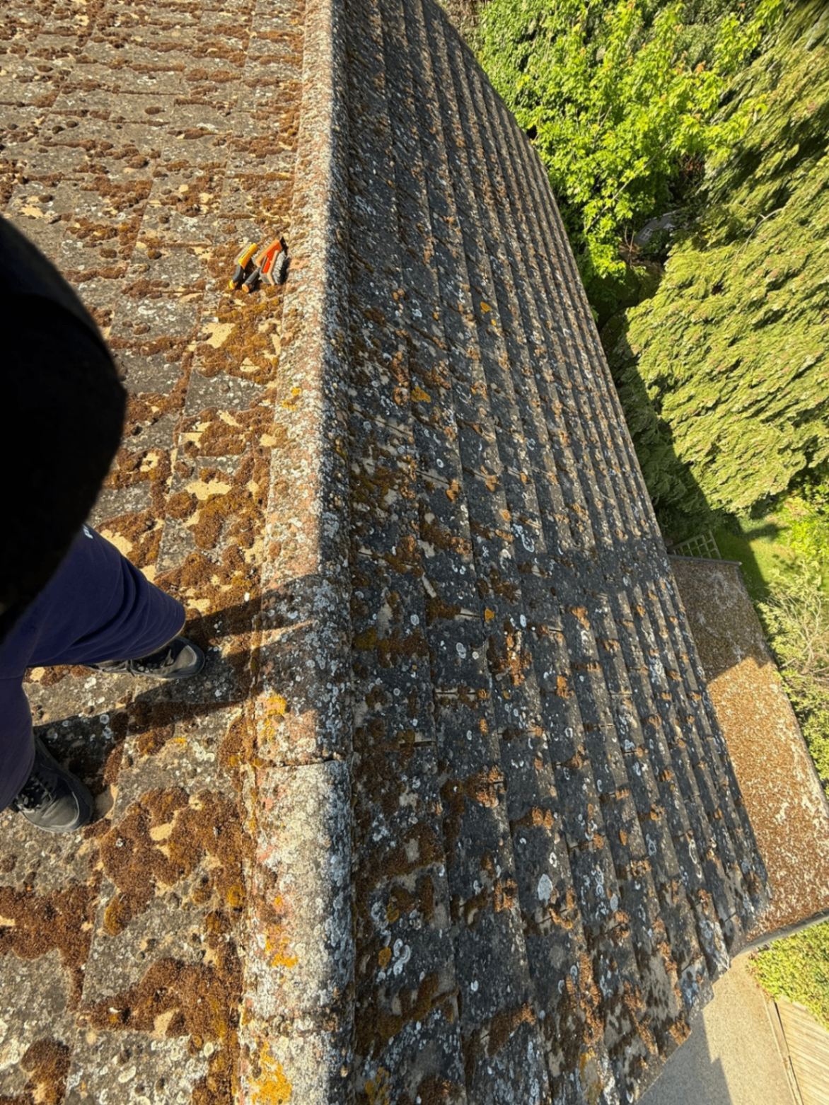 Roof ridge and slope with heavy lichen and staining before cleaning